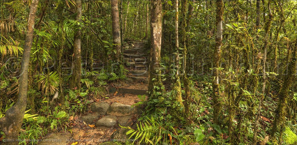 Peter Bellingham Photography Mossman Gorge - QLD T (PBH4 00 16986)
